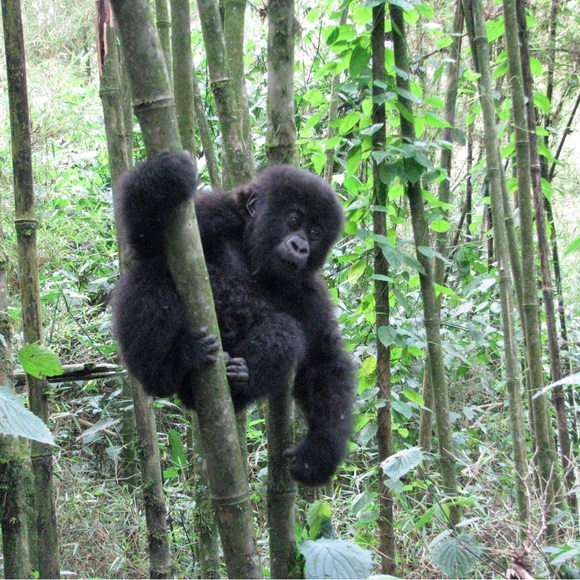 Meet your Posher, Gail - Picture 1 of 2